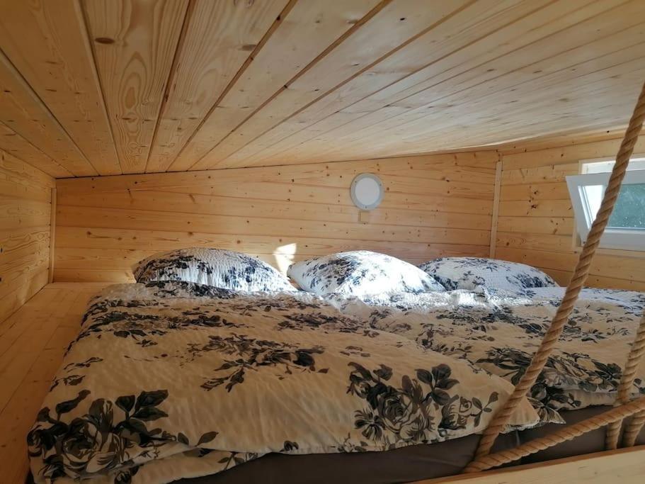Glamping Sever Mikulášovice Bagian luar foto
